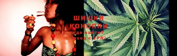 спайс Каменногорск