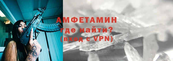 крисы Каменка