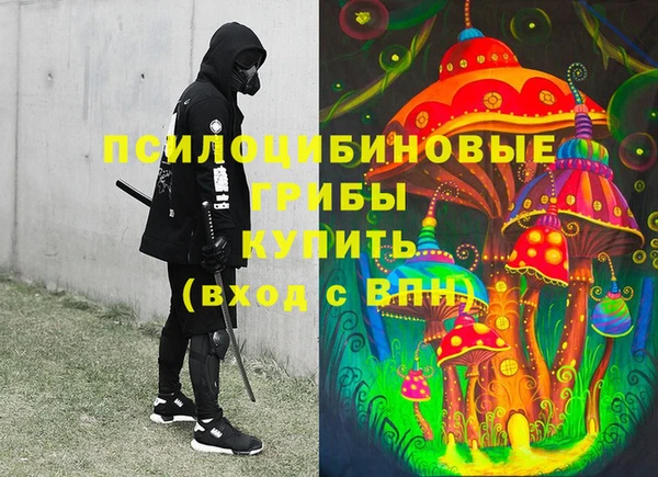 крисы Каменка