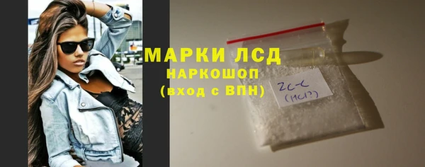 ECSTASY Инсар