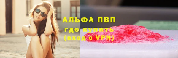ECSTASY Инсар
