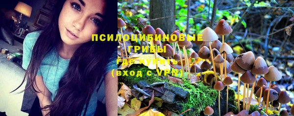 крисы Каменка