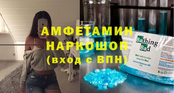 крисы Каменка