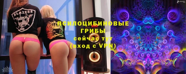 не бодяженный Иннополис