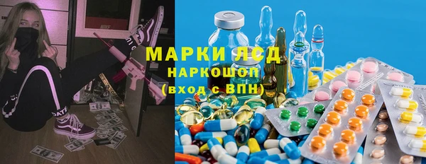 ECSTASY Инсар