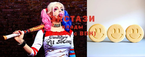 ECSTASY Инсар