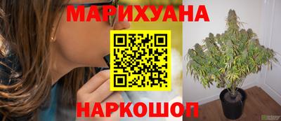 мяу мяу мука Ставрополь