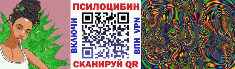kraken ONION  Якутск  Галлюциногенные грибы Psilocybe 