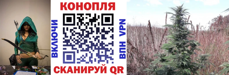 Конопля планчик  ОМГ ОМГ сайт  Якутск  магазин продажи  